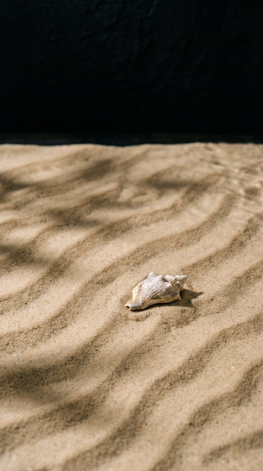 Fundo de Areia
