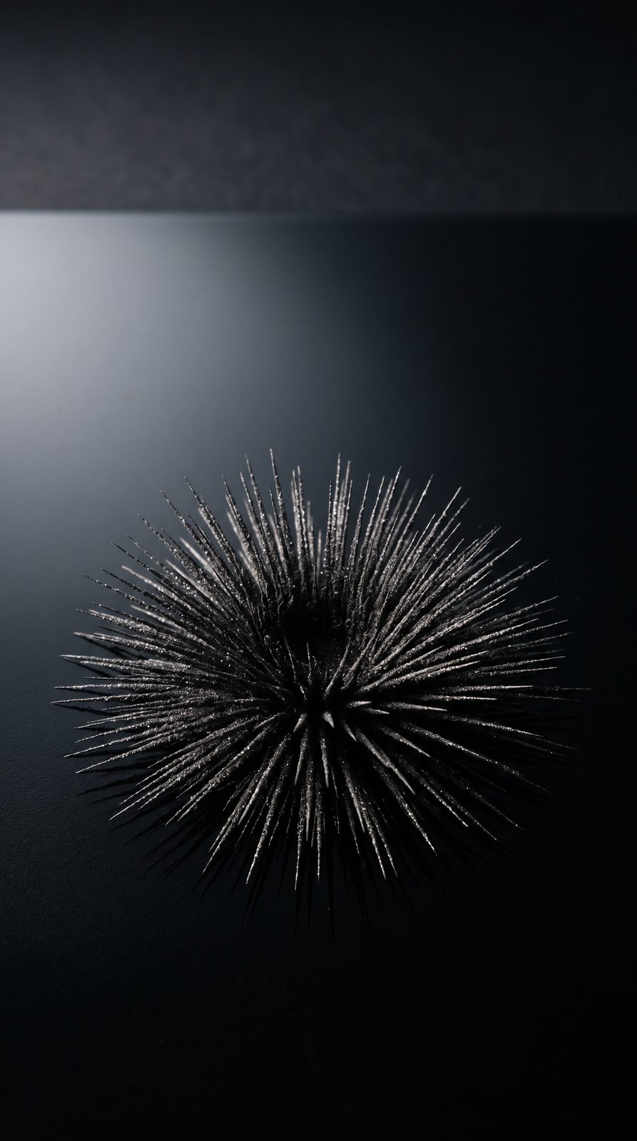 Magnetized Steel Filings